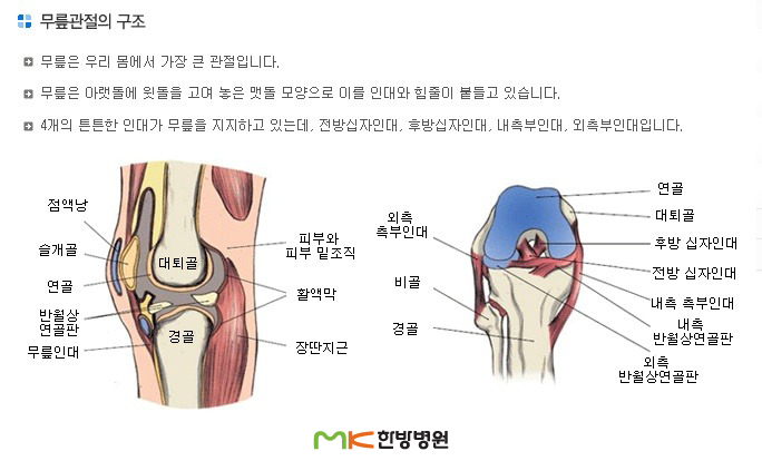 게시판 공지사항 무릎관절 건강하게 지키는 법 관절 무릎통증 퇴행성관절염 비수술적치료병원 광주상무지구mk한방병원 한의원추천 엠케이한방병원 양한방협진 한방재활의학과전문의